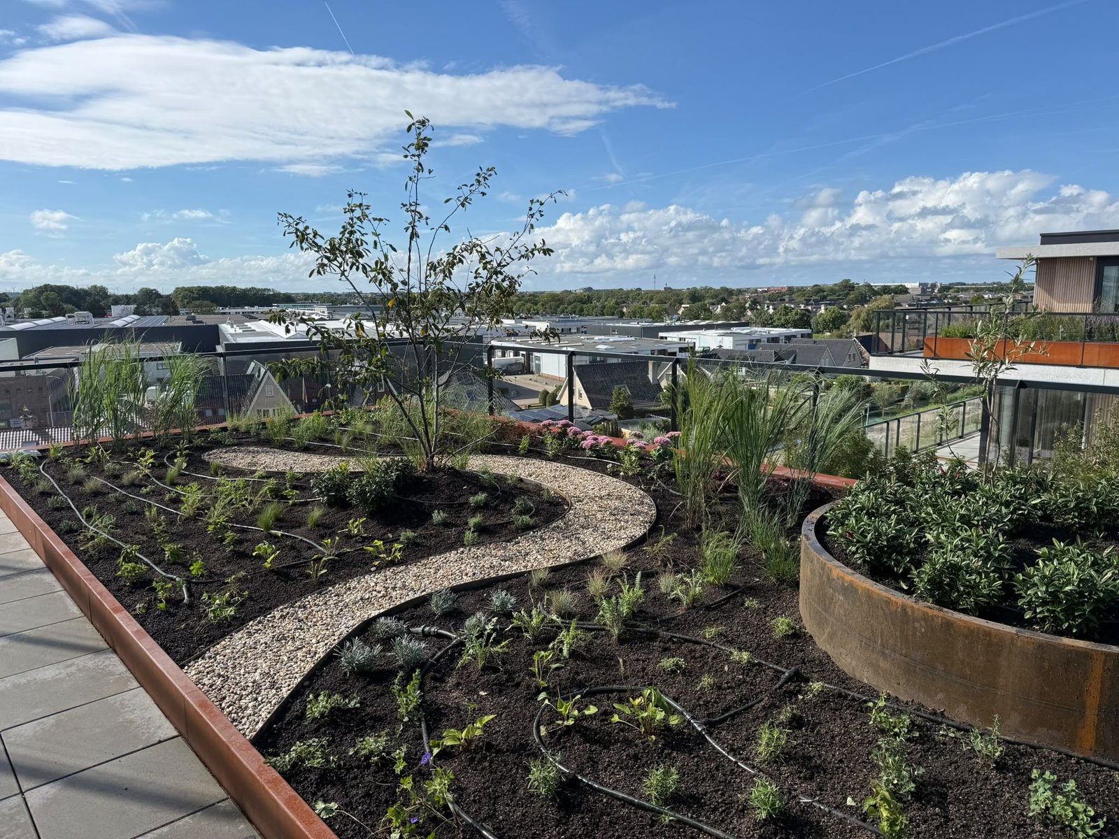 Daktuin met slingerend grindpad, borders en cortenstalen plantenbak, aangelegd door Van Paassen Hovenier
