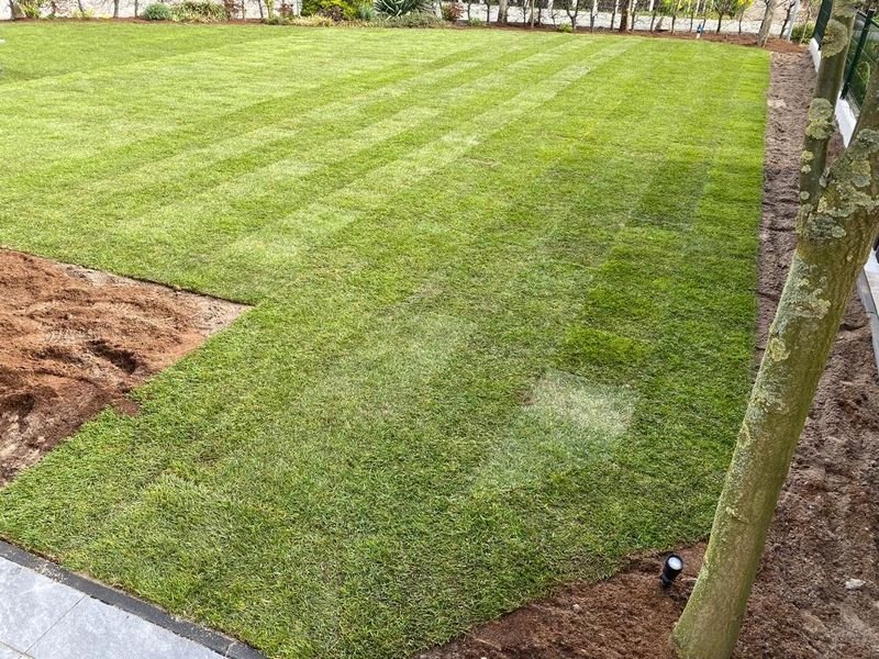 Aanleg gazon – tuinproject door Van Paassen Hovenier, foto 1