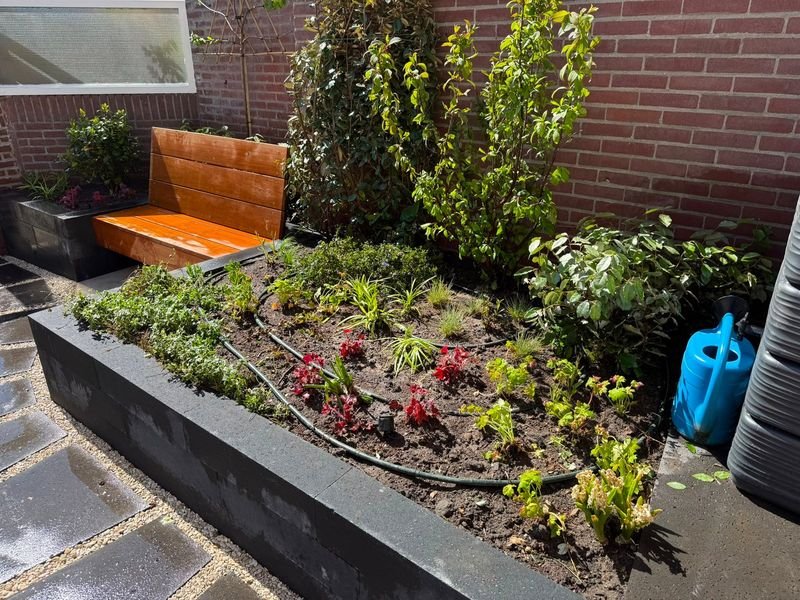 Beplanting en bestrating – Maasdijk – tuinproject door Van Paassen Hovenier, foto 5