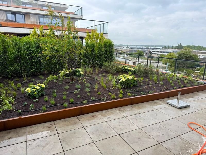 Daktuin – 's-Gravenzande – tuinproject door Van Paassen Hovenier, foto 1