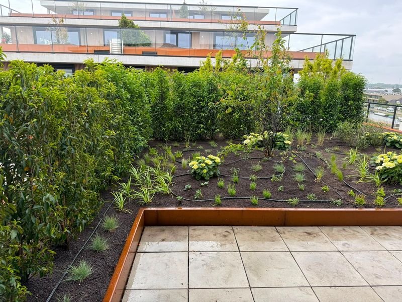 Daktuin – 's-Gravenzande – tuinproject door Van Paassen Hovenier, foto 2