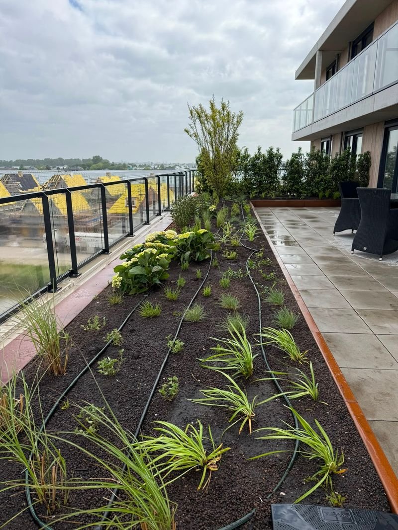 Daktuin – 's-Gravenzande – tuinproject door Van Paassen Hovenier, foto 3