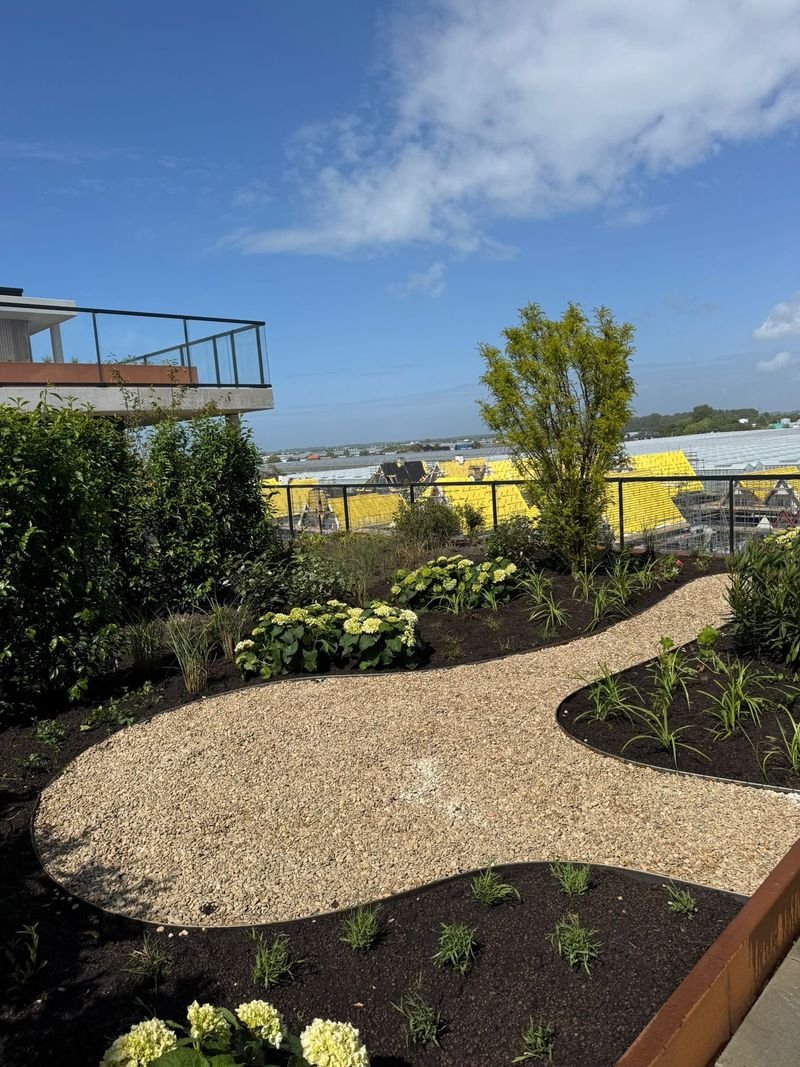 Daktuin – 's-Gravenzande – tuinproject door Van Paassen Hovenier, foto 5