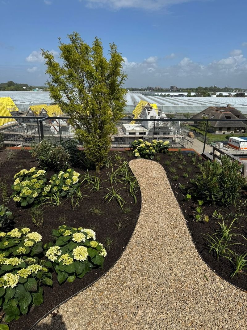 Daktuin – 's-Gravenzande – tuinproject door Van Paassen Hovenier, foto 6