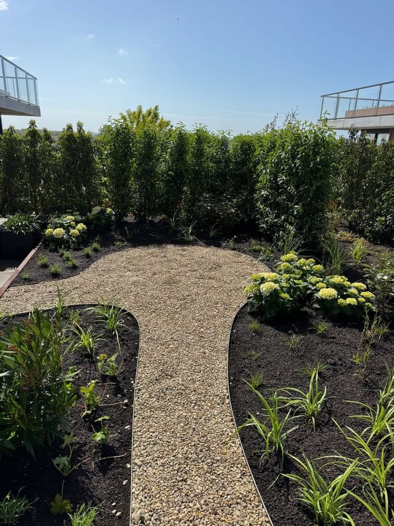 Daktuin – 's-Gravenzande – tuinproject door Van Paassen Hovenier, foto 7