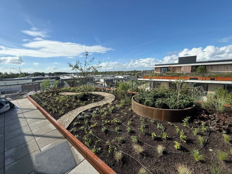 Daktuin – 's-Gravenzande – tuinproject door Van Paassen Hovenier, foto 9