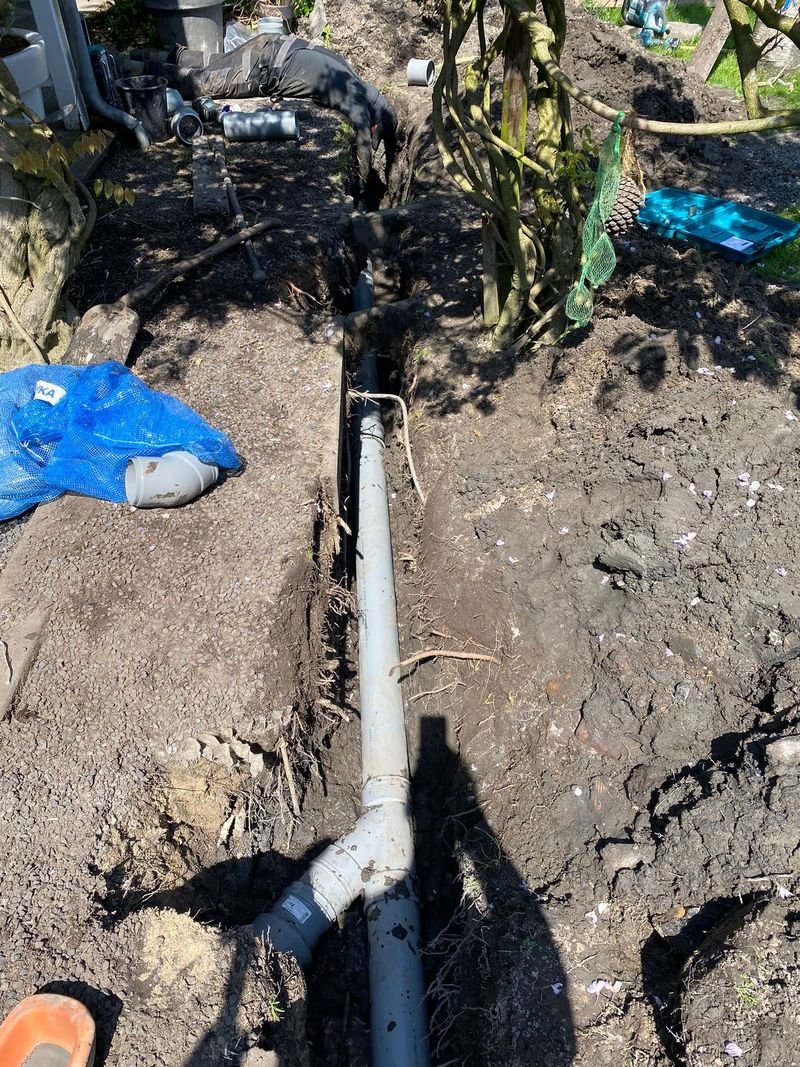 Gistpijp uitgraving – Maasdijk – tuinproject door Van Paassen Hovenier, foto 2