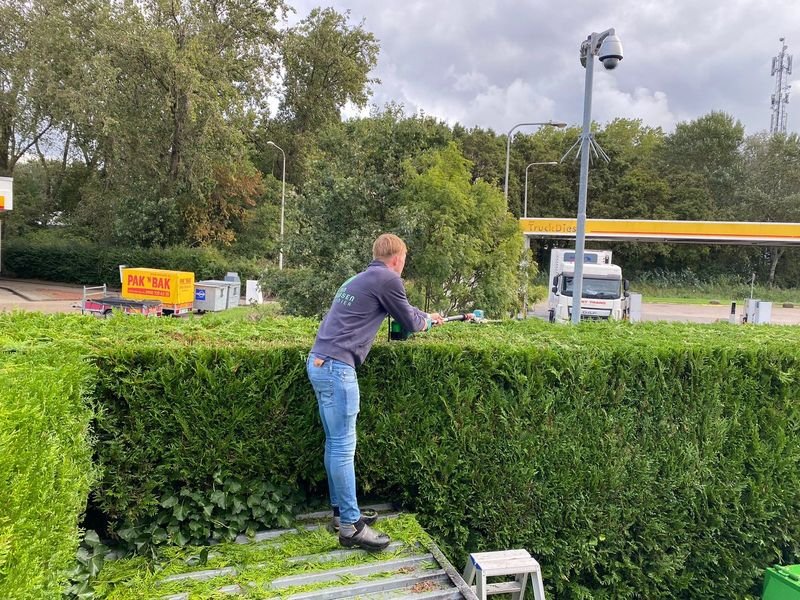 Maandelijks onderhoud – Westgaag – tuinproject door Van Paassen Hovenier, foto 1
