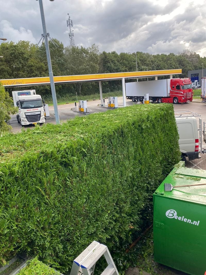 Maandelijks onderhoud – Westgaag – tuinproject door Van Paassen Hovenier, foto 2