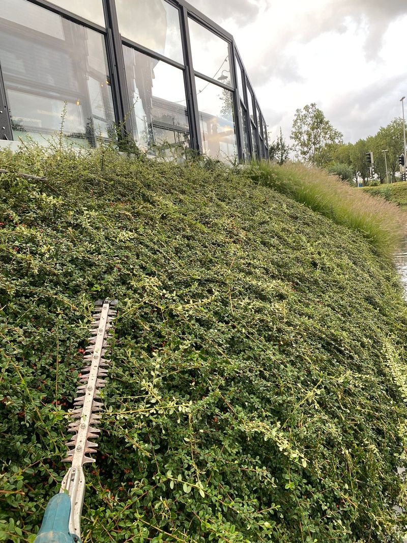 Maandelijks onderhoud – Westgaag – tuinproject door Van Paassen Hovenier, foto 3