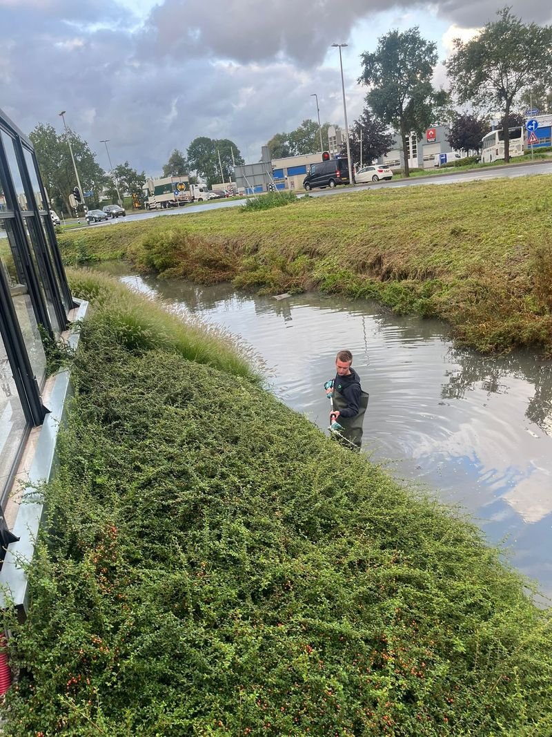 Maandelijks onderhoud – Westgaag – tuinproject door Van Paassen Hovenier, foto 4