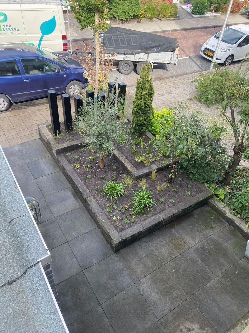 Nieuwe beplanting – Maasdijk – tuinproject door Van Paassen Hovenier, foto 1