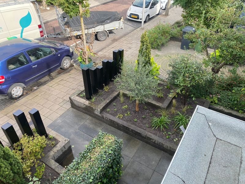 Nieuwe beplanting – Maasdijk – tuinproject door Van Paassen Hovenier, foto 4