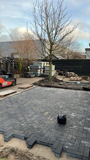 Opritbestrating – Maasdijk – tuinproject door Van Paassen Hovenier, foto 2