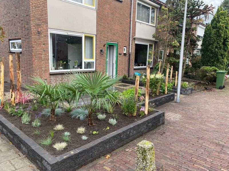 Voortuinrenovatie – Maasdijk – tuinproject door Van Paassen Hovenier, foto 5